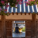 채화정 | [공지] 안동(별 촬영, 채화정, 병산서원 배롱꽃 촬영)을 다녀와서