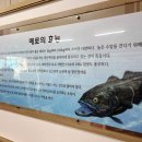 메로