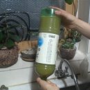 EM(이엠) 이미지