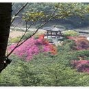 강가황토펜션 이미지