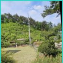 아르보르펜션 | 여주펜션 아르보르펜션에서의 행복한 숲속 힐링