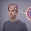 그린스톤산업㈜ 이미지