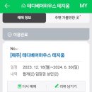 제주 더 아르테미스 | [제주여행] &lt;키다리와 제주도&gt; 2일차 240326