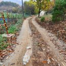 옥계 백봉이네 이미지