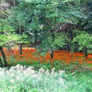 선운사의추억 이미지