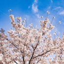 진주스토리 이미지