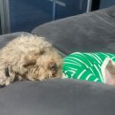 힐빙 인 제주 이미지