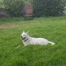 씨니드 Daum카페