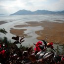 순천만여행 이미지