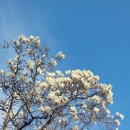 관아공원 이미지