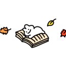 불사조 체육관 이미지