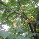 복사골공원 이미지