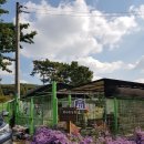 백운식당 이미지