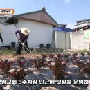 창영교회 주차장 이미지