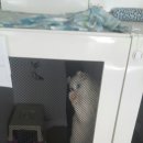 호텔엘린 이미지