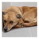 금척상리 이미지