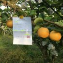 국립농산물품질관리원지원익산사무소 이미지