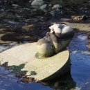 아들바위 이미지