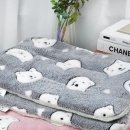 사계절 애견 켄넬 이미지