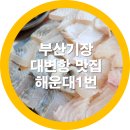 해물먹거리세상 | 부산 기장 대변항 맛집 해운대1번 바다뷰보면서 해물잔치 찐후기 내돈내산