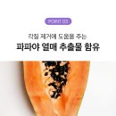 헤어&스캘프 테라피 클렌저 | #두피 #벨런스 #천연보습 #피지조절 #노폐물제거 #모발컨디셔닝 #모발윤기 #탈모방지 # 이미지