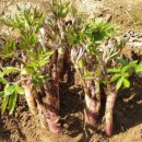 참샘농장 이미지