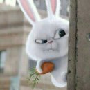 빌라어린이공원 이미지