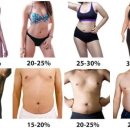 나인핏 피티 이미지