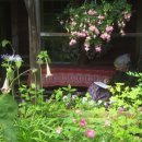 (주)동화그린 이미지