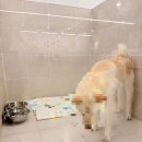 멍블랑 유치원 이미지