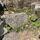 양양별장 이미지