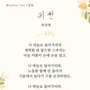 하이미니
