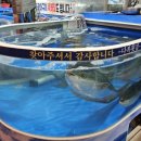 다복횟집 이미지