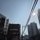 동반자 결혼상담소 | 치유앤성장 심리상담센터 왜 오는지 알겠는데