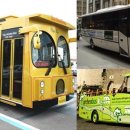 국내외 명물 버스 어떤 게 있나? 중국인 관광객에게 특화된 '제주 황금버스' 로마 '하프 오픈톱' 뉴욕 '대형 밴'도 인기 이미지