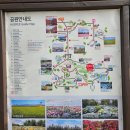 돼지야놀자 | 제주 서귀포 관광지 추천 휴애리 자연생활공원 탐방 후기!! (feat. 동백꽃, 유채꽃)