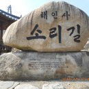 입석1구 이미지