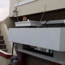 냥이파파 이미지