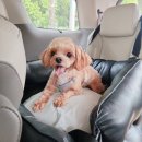 말순이네 이미지