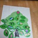 경산장애인자립생활센터(IL) | 성남시성교육/중원장애인자립생활센터/IL/몸의이해/장애여성성교육/맞춤형성교육/일대일성교육/조세은강사