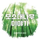 모소(MOSO) 네이버블로그