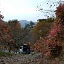 민주지산자연휴양림야영장 이미지