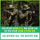 효충 이미지