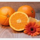 오렌지솔루션 이미지