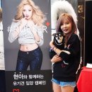 현아농장 이미지