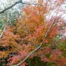 대별농장 이미지