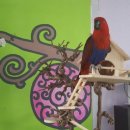 인천조류원 이미지