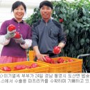 김혜호 국민일보