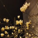 화진주 | 남파랑30-1길