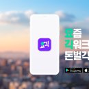와이즈펫 주식회사 네이버블로그